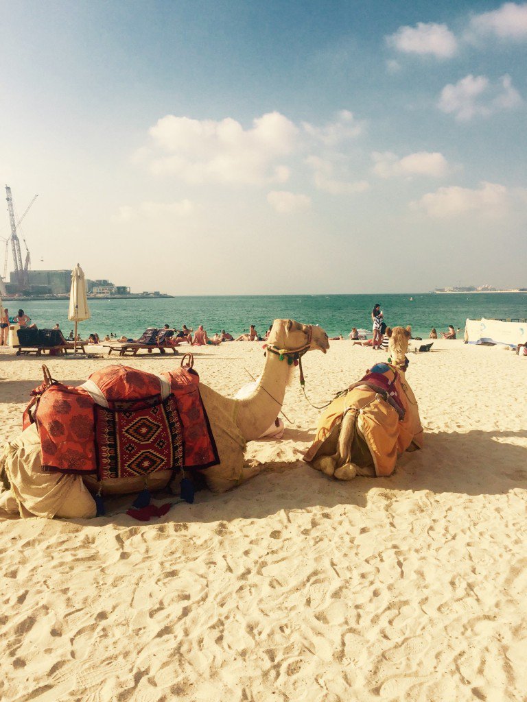 It's #TravelTuesday so if you are looking for some inspiration for your next adventure check out  my latest review: bit.ly/2kf9hHG