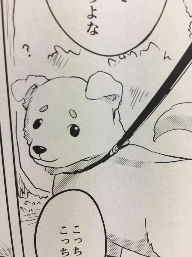 ちなみに本文内のお気に入りカットはこちら(めっちゃ腹立つ顔)🐕 