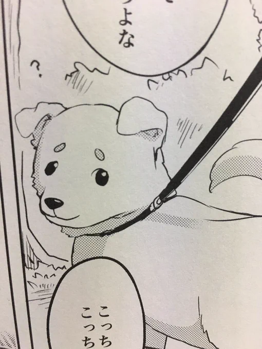ちなみに本文内のお気に入りカットはこちら(めっちゃ腹立つ顔)🐕 