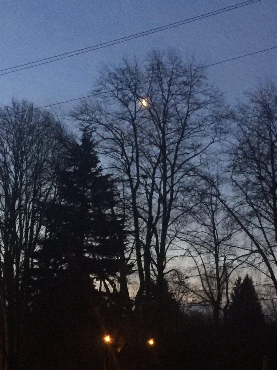 FutureHairVan's tweet image. I know #springisintheair this morning because it's 630 am and it's not dark✨ #vancouverspring #yvrweather #pointgrey