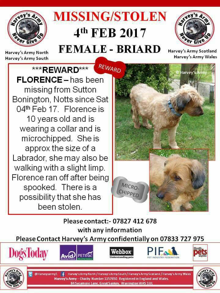 Harveysarmy1's tweet photo. Unusual #Briard POSS STOLEN #SuttonBonington #Notts #Leics border like #roughcoat #Labrador @RSPCA_official @DogsMonthly @Nottingham_Post https://t.co/OsHUG3AmYl
