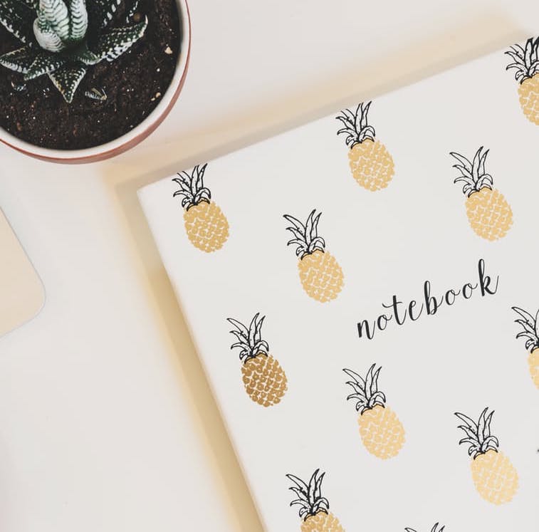 CadfabDigital's tweet photo. 🍍✨ Finding Inspiration in the office today! Get your #CustomFabric started with #CadFabDigital  🌐: https://t.co/A3h3QG45Bx📞: 323.231.5300 https://t.co/I8qUMO6t3Z