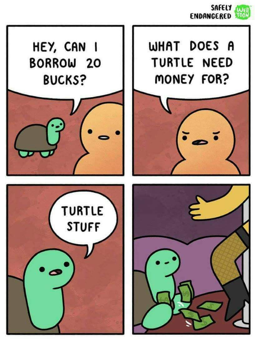 shawnmtodd66's tweet photo. #turtlestuff https://t.co/GGqGC7bSNK