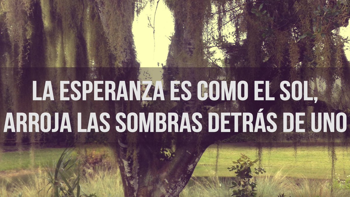 Frasetopia's tweet photo. 15 frases bonitas para tener esperanza en nuestro canal de Youtube: https://t.co/cnsZIoAIMb https://t.co/70UQe3aHby