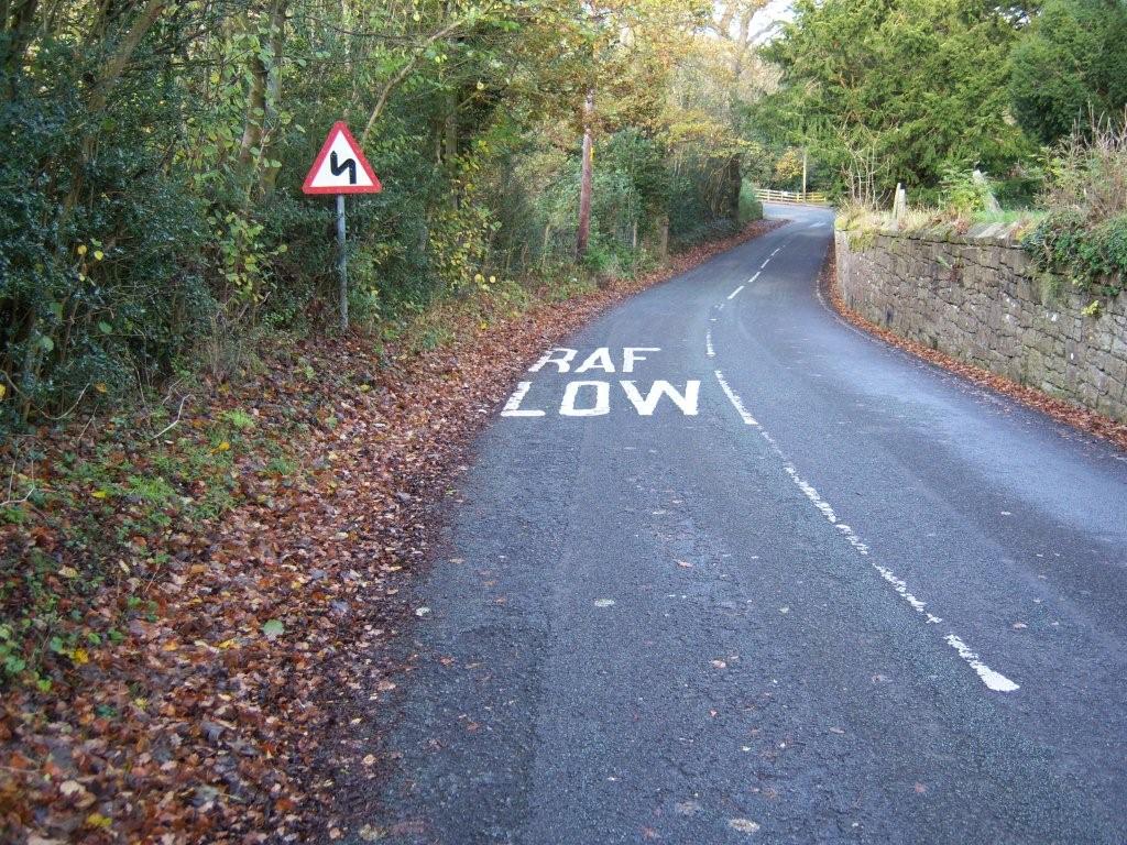 MikeLevens2's tweet photo. @richardosman Appears at bottom of my lane when leaves fall; your Monday Welsh/English reminded me. Slikke flying. https://t.co/p44KdgANVj