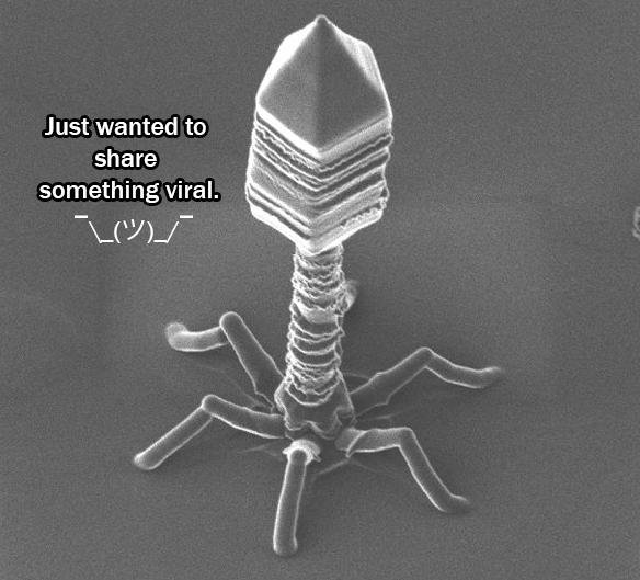 GOING VIRAL, GUYS!

[Via @reddit]