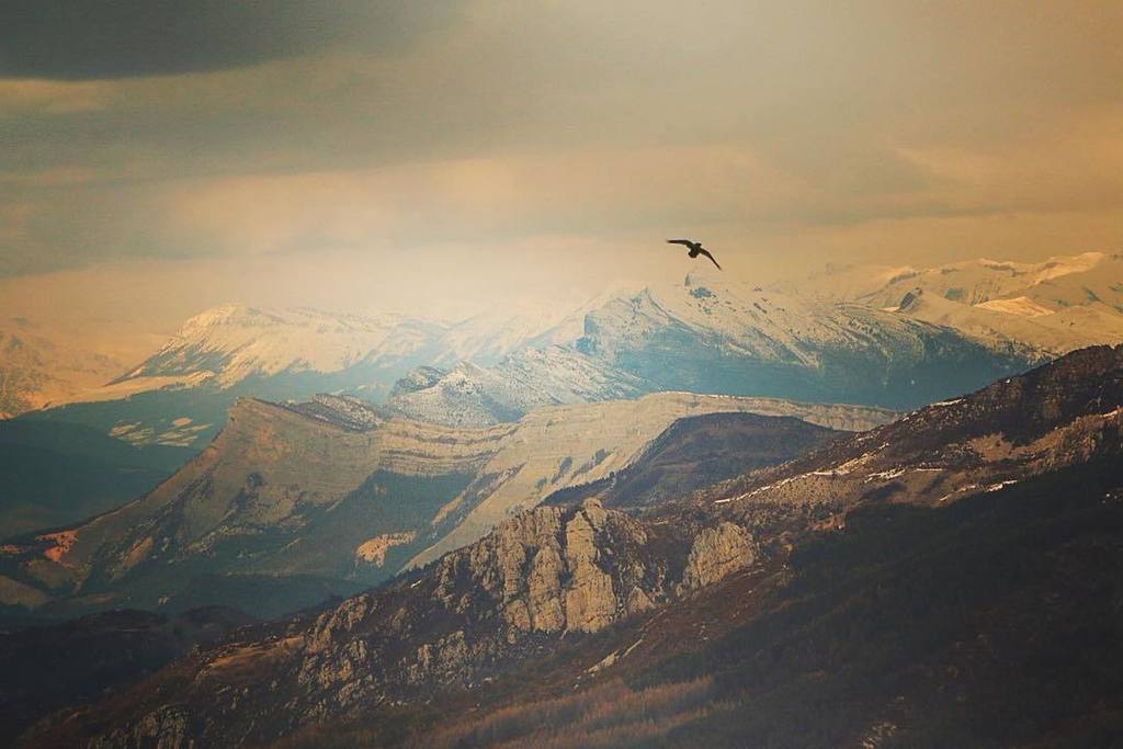 callenverdon's tweet photo. Sheer wild beauty that will never be tamed. Wish I was that Raven. #mountains #mountainp… https://t.co/zcz9mUMMTx https://t.co/RjNwpTR4tV