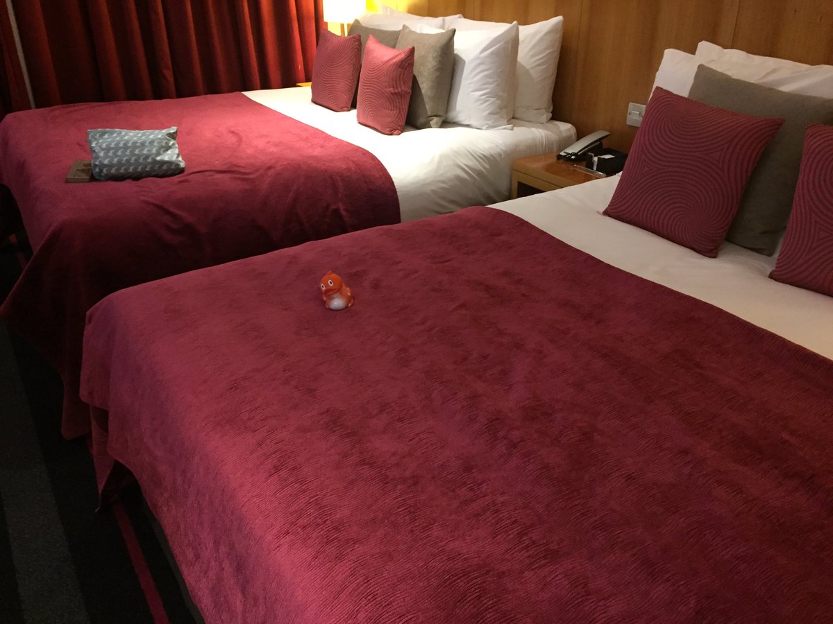 sjp0104's tweet photo. I'm not lonely, I have the @ApexHotels duck for company! So....dinner? #Dundee #fabroom #thanks https://t.co/UsOUkksDx9