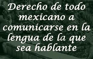 MdelCarmenPL's tweet photo. Día Internacional de la #LenguaMaterna, #LenguaMaya 
#TrabajandoConDecisión
#PRD https://t.co/PFrKvvZb6g