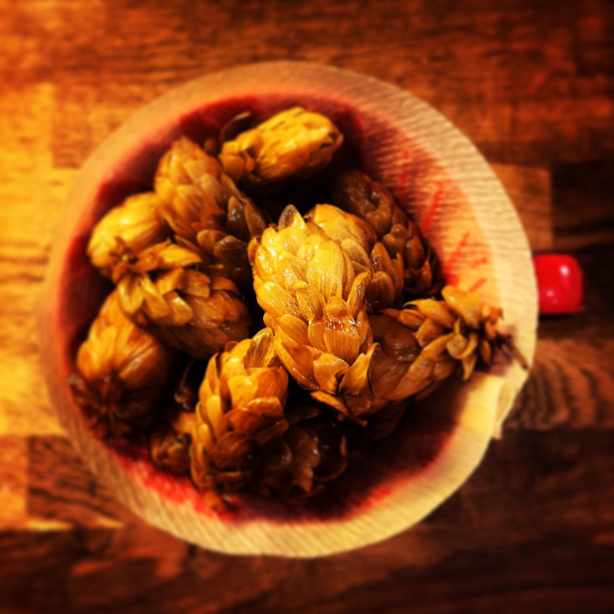 occasionalbc's tweet photo. Straining the good stuff from some wild hop bitters. #foraging #craftbeer #wildcrafting #homemade https://t.co/Gyq8Utqeuh