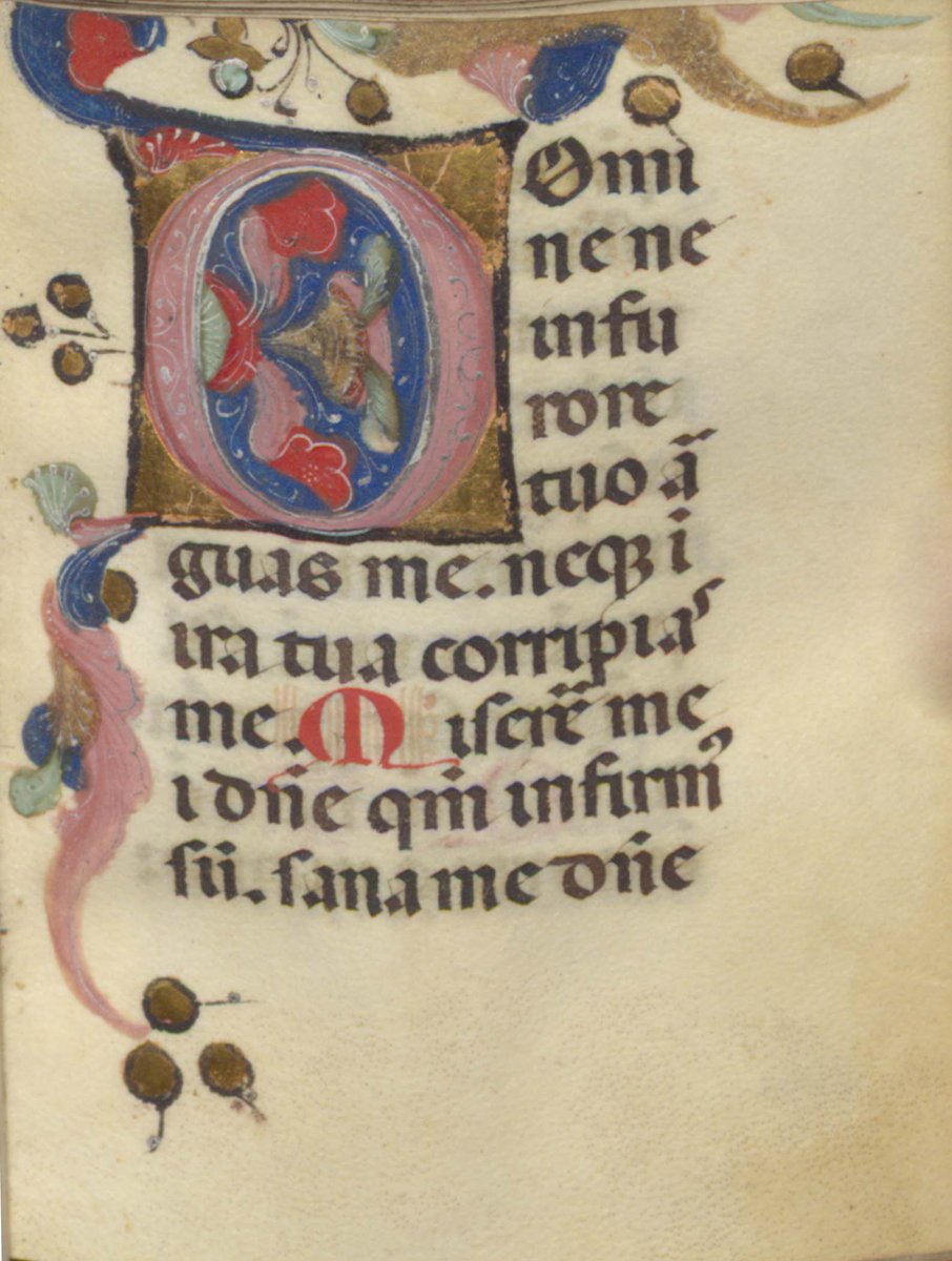 MUDigServ's tweet photo. This 15th century miniature Book of Hours was a challenge to digitize, but worth it! Check it out here: https://t.co/kTST8JP2NI https://t.co/XIfrUJpzPt