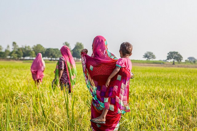 Calling innovative problem-solvers! Data-Driven Farming competition to help Nepali farmers: datadrivenfarming.challenges.org #ddfarming