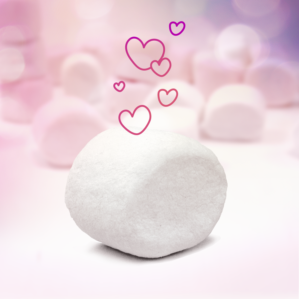 ChamallowsFR's tweet photo. #MardiConseil Pour vivre heureux, vivons moelleux ! https://t.co/TAqI6IRrV0