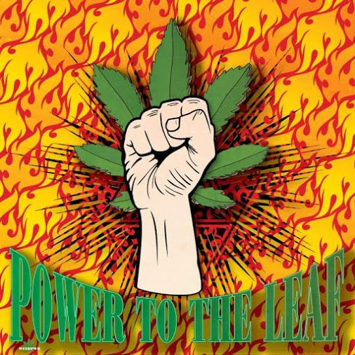 TheLoudBank's tweet photo. #wakenbake 😎
Power to the leaf!👊
#leafpower🌿🍀
#freetheleaf🌿☘️🍃🍂🍁 https://t.co/chPANUo8Wb
