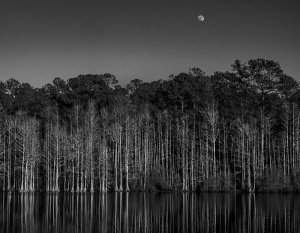 NCparks's tweet photo. Grab your favorite hiking boots and a camera and join us on a photo hike! https://t.co/Z8cnv02JQy https://t.co/pVuj3DgFbt