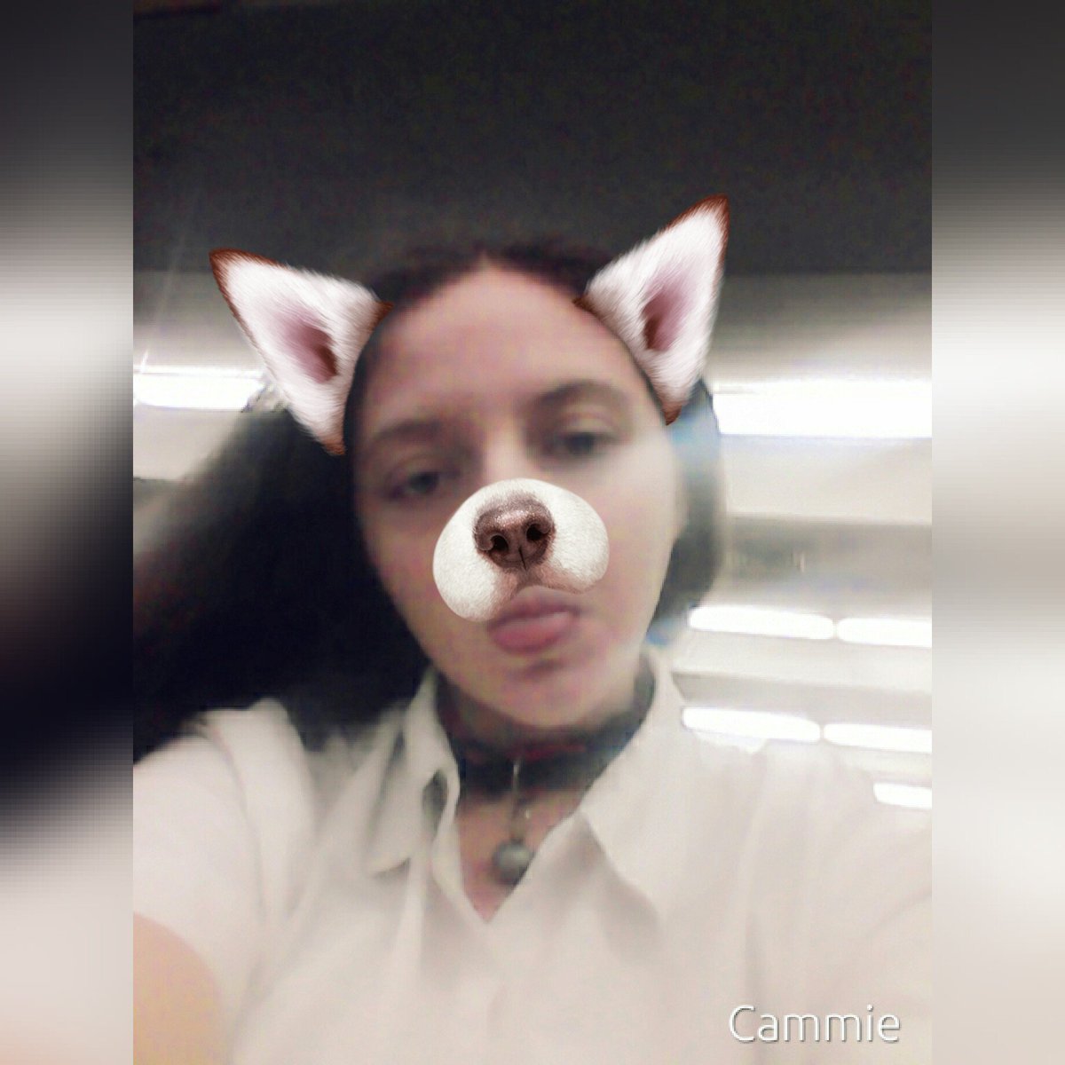 DustdashlinM's tweet photo. Bark https://t.co/vFCRIbTPAj