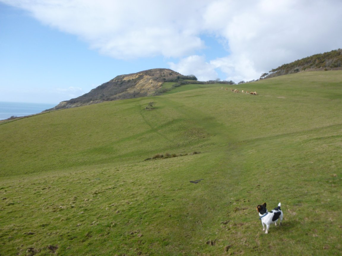 Jefferiesauthor's tweet photo. "Splendid to climb the steep green hill...I drink the exquisite joy of the senses, and my soul lifts itself with them" - 'Story of My Heart' https://t.co/UtjHK0lPCs