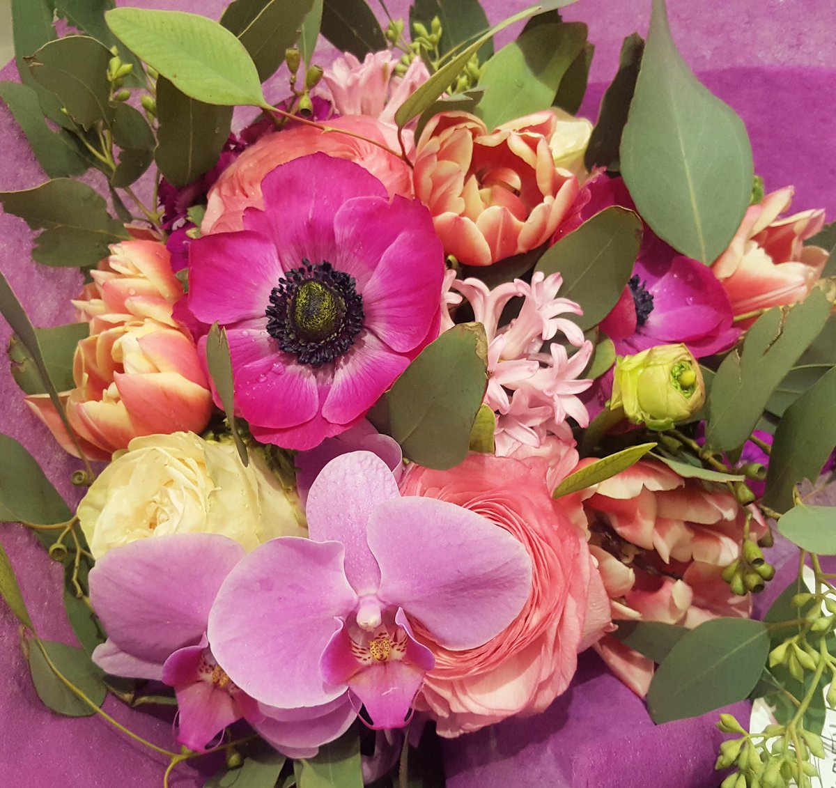 LadyJennRS's tweet photo. Flower delivery! Thank you! It was quite the mystery! 💐💐💐💕 https://t.co/qVsXCjlZNL