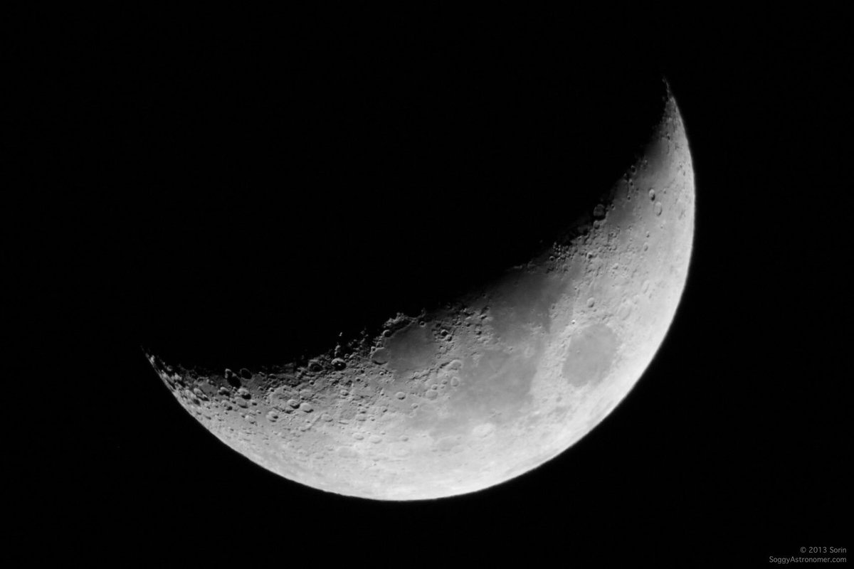 trumpthedog's tweet photo. Look at what happened to the moon last night. A yuge space monster took a big bite out of it! @FreedaT4z @RogueNASA #alternativefacts https://t.co/AcpCQVEQNS