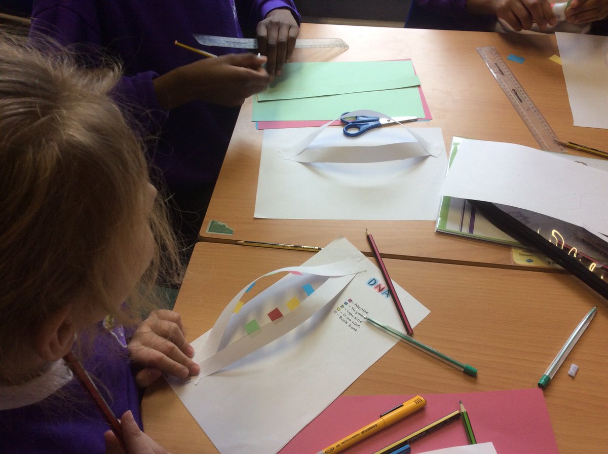 HPA_Philip_Lane's tweet image. Year 6 have been looking at genes and DNA in class and just look at what they made. DNAmazing, wouldn&apos;t you say?!
#HPAPLScience #HPAPLTweets