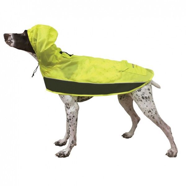 whywewag1's tweet photo. Get a raincoat for the #pooch, as spring is coming, along with the rains. #dog #dogsaccessories
https://t.co/VAsaQq1Dou https://t.co/nsEClD5eia