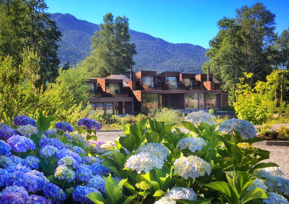 Waking up in an ocean of azure skies and matching hydrangeas - what promise for a new day in#Pucon #Chile
@LuxuryTravelAU