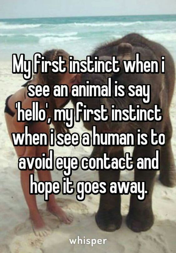 Madeline_Cole's tweet photo. #TruthIsTuesday - Could not be more accurate lol :P https://t.co/cCOoVY2Q0V