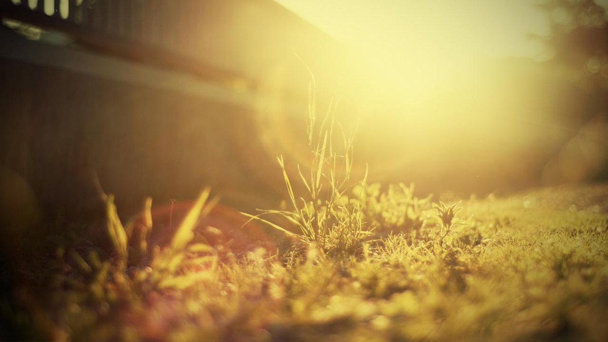 KrishnaSWTest's tweet image. Test is now for regression 02