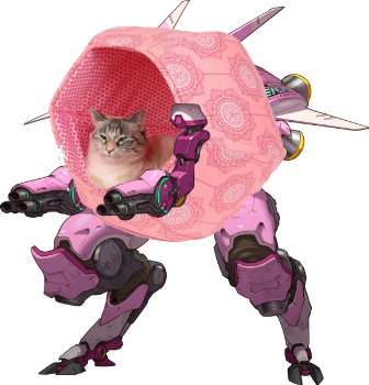 slytely's tweet photo. My new main #overwatch #dva #cat #main https://t.co/DjTWTXTI3y