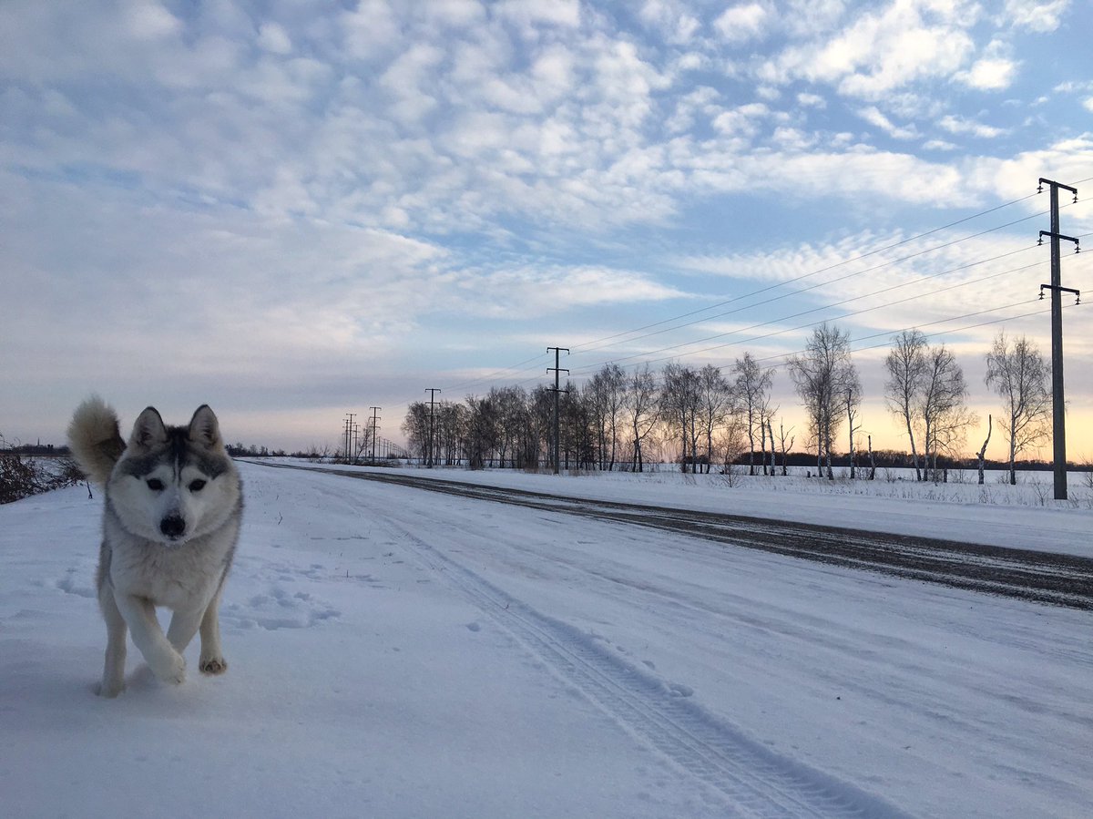TaliSSSman's tweet photo. Моя Ханна 💙 https://t.co/jdmtP0JY7k