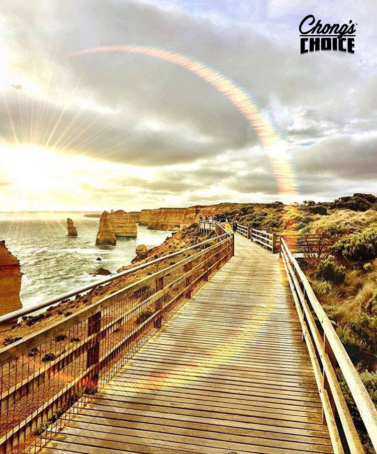 chongschoice's tweet photo. The path to happiness.  #ChongsChoice  (Via @ melbourneiloveyou) https://t.co/91RY7ZwXUn