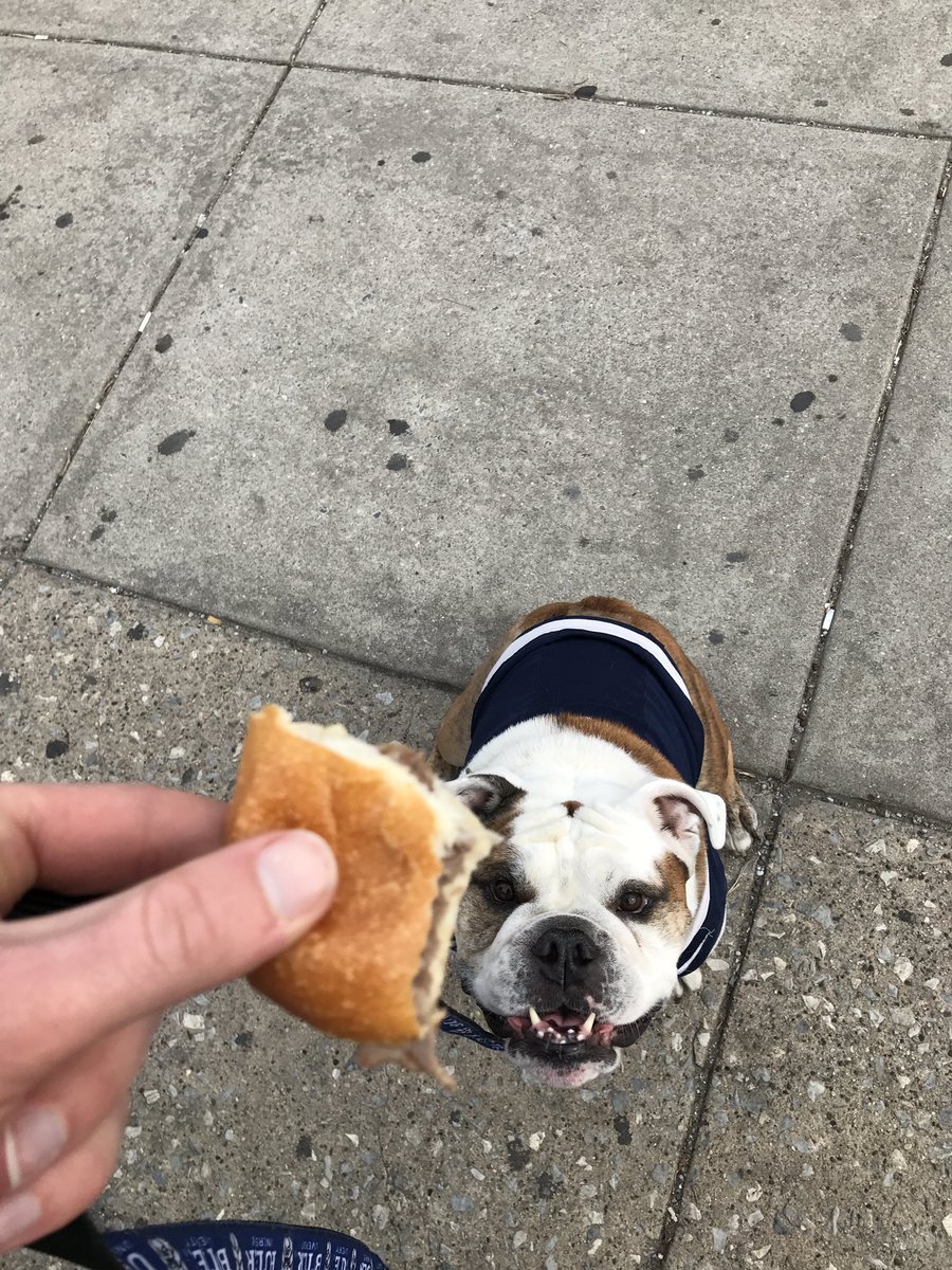 ButlerBlue3's tweet photo. Tried a cheesesteak w/ sharp provolone, regular provolone, and cheese whiz. All three delicious. The real winner here is me. #BigDawgsTour https://t.co/72caUAMzxv