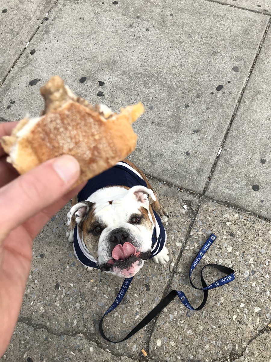 ButlerBlue3's tweet photo. Tried a cheesesteak w/ sharp provolone, regular provolone, and cheese whiz. All three delicious. The real winner here is me. #BigDawgsTour https://t.co/72caUAMzxv