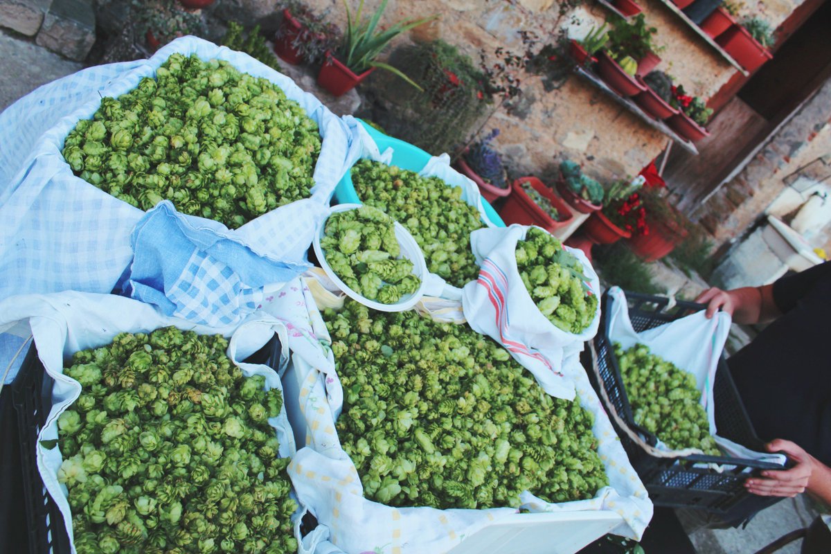 New #rewards for #homebrewers from all over the world!! 🍻 #hopfarm #hops #harvestale #farmhouse #homebrew #CraftBeer kickstarter.com/projects/76540…