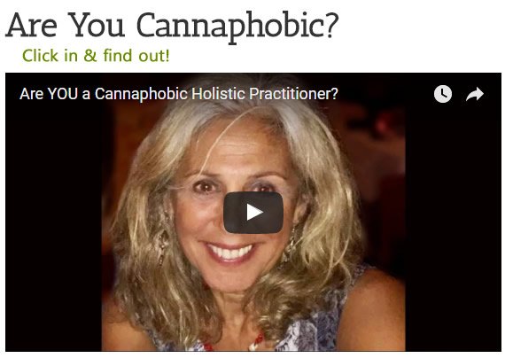 holisticannabis's tweet photo. How would you rate your knowledge of #cannabis? - Are you cannaphobic? #medical #marijuana #Health #healthcare  https://t.co/CTu3dyEprP https://t.co/e9BKHojy9t