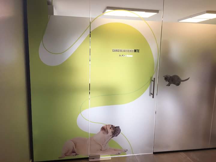 xodgrafisch's tweet photo. Creatieve klant + vakkundige #raambelettering door Xod = top resultaat! https://t.co/gO5vja0CwS