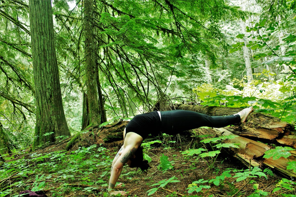 HolisticBrooke's tweet photo. Forest Yoga #yoga #backbending #naturelover #outsideyoga #barefootyoga #connection #yogini https://t.co/Jy7bbETd7P