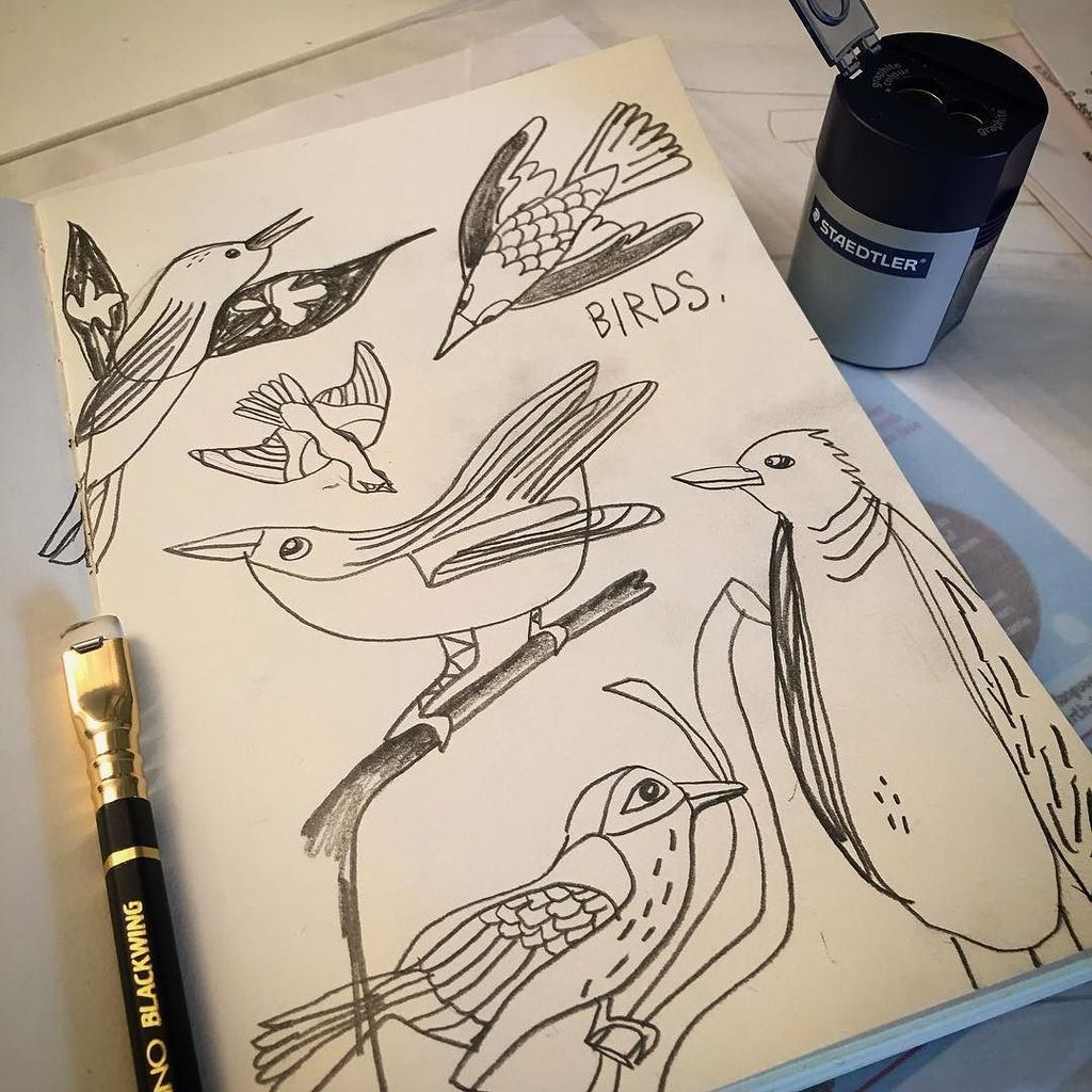 bzdesignstuff's tweet photo. taking a brief time out to draw #somebirds - sending it out to the universe. i'd SO love t… https://t.co/nrcv7a0NSY https://t.co/3Bh0mX1QU9