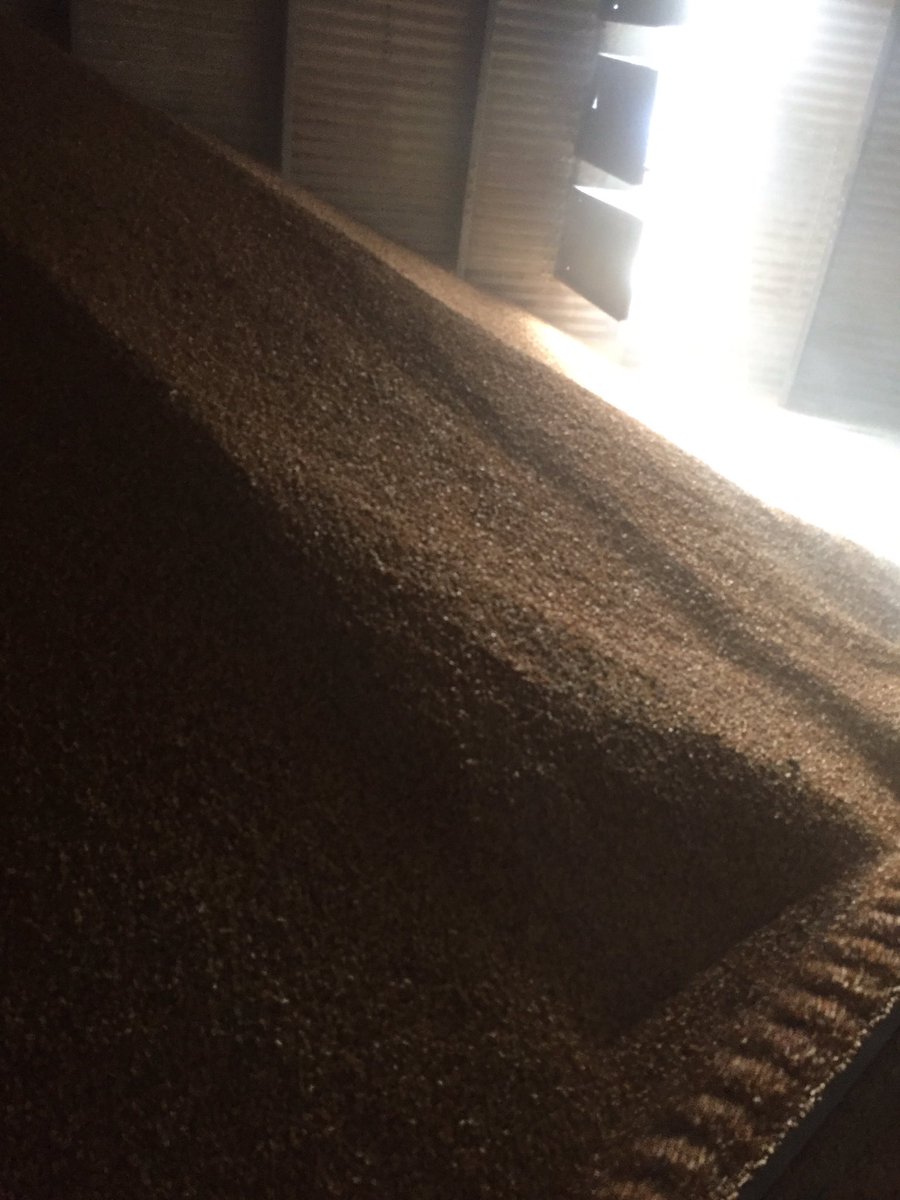 Brown_Farms's tweet photo. I love sweeping out grain bins said no one ever!!!! #grainfarmerproblems https://t.co/gIxYr5cntg