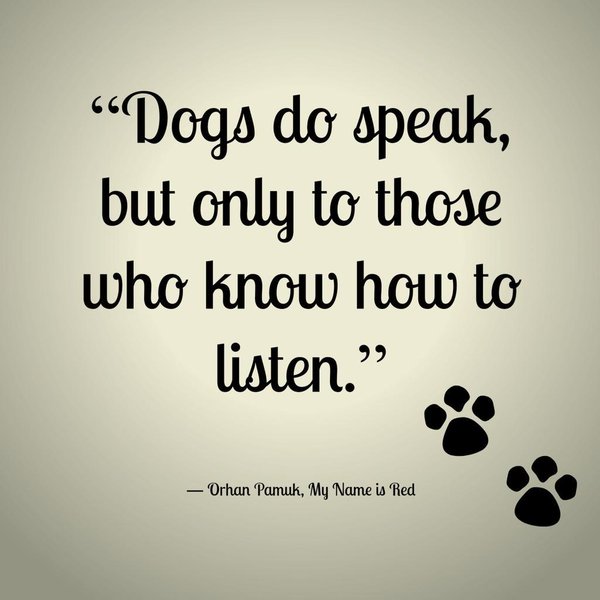 ShedtheBitch's tweet image. #LoveLanguage #DogLanguage #DogLove #DogWisdom #ShedtheBitch bit.ly/2kIpG2F