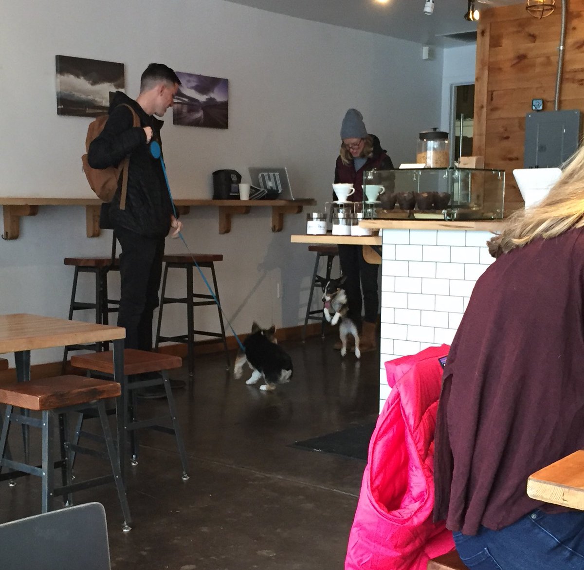 Watching a full-fledged #corgi fight at <a href="/OldWorldCoffee/">Old World Coffee Lab</a>. The corgi is winning.