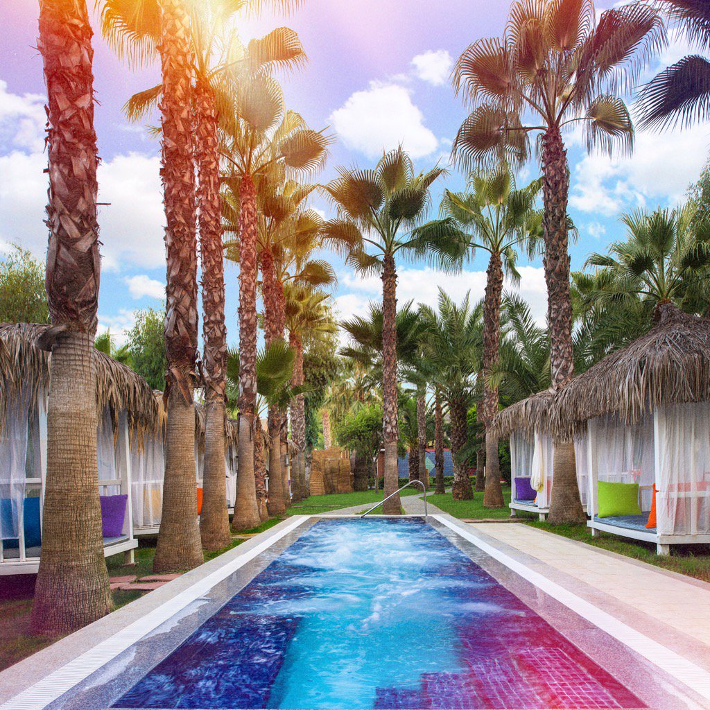 delphinhotels tweet picture