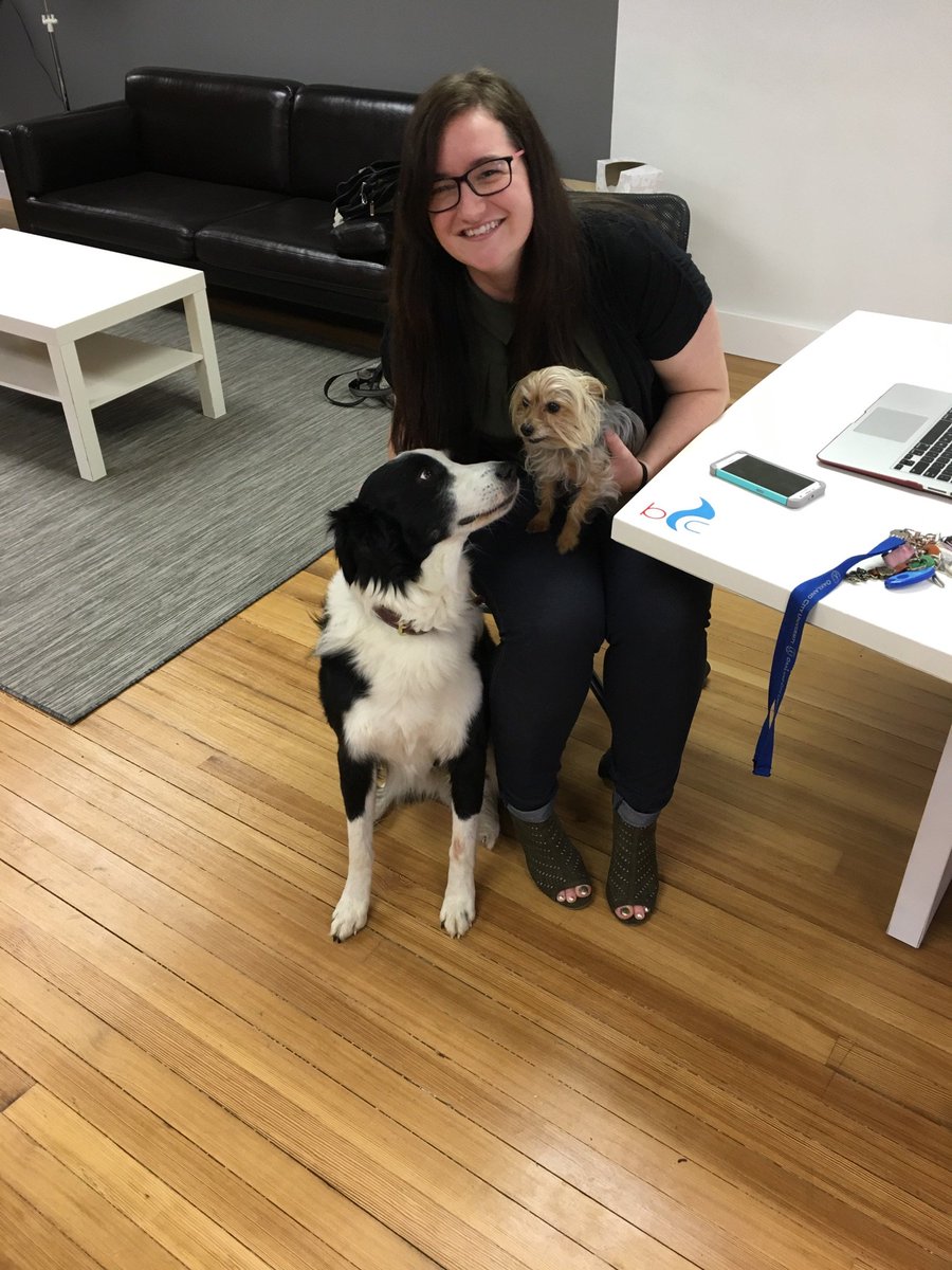 BrushFireCMM's tweet photo. Nikki is enjoying lots of help from Tinkerbell and Crosby! #marketing #marketingagency #brushfireoffice https://t.co/5YdBaBS2b6