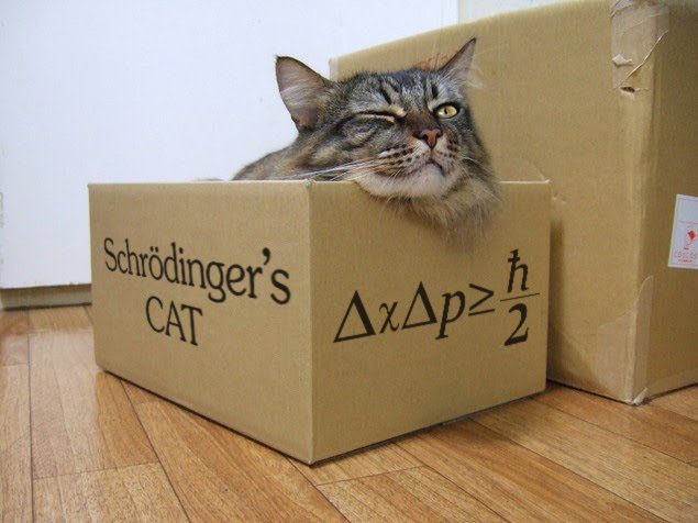 scienceworldca's tweet photo. Have you heard of Schrödinger’s Cat? Science blogger, Kat Kelly, can explain this thought experiment. https://t.co/hUsPziQSeo #quantumvan https://t.co/2E0TAU9Rp9