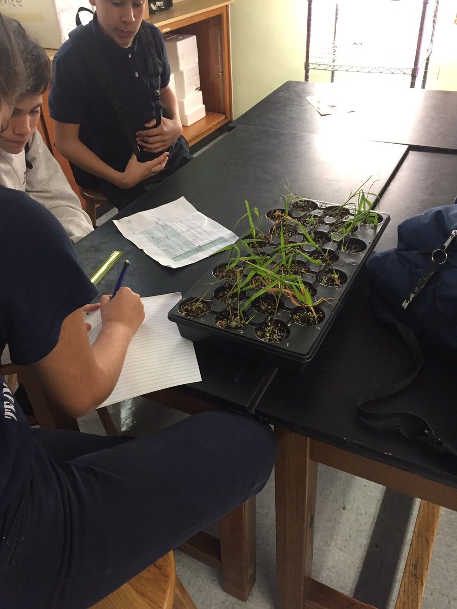 mszscience's tweet photo. Week 1 measuring the orchids collecting height and leaf data @OrchidSTEMLab @RivieraMiddle @STEMDesignation #STIR https://t.co/I1FtP299dr
