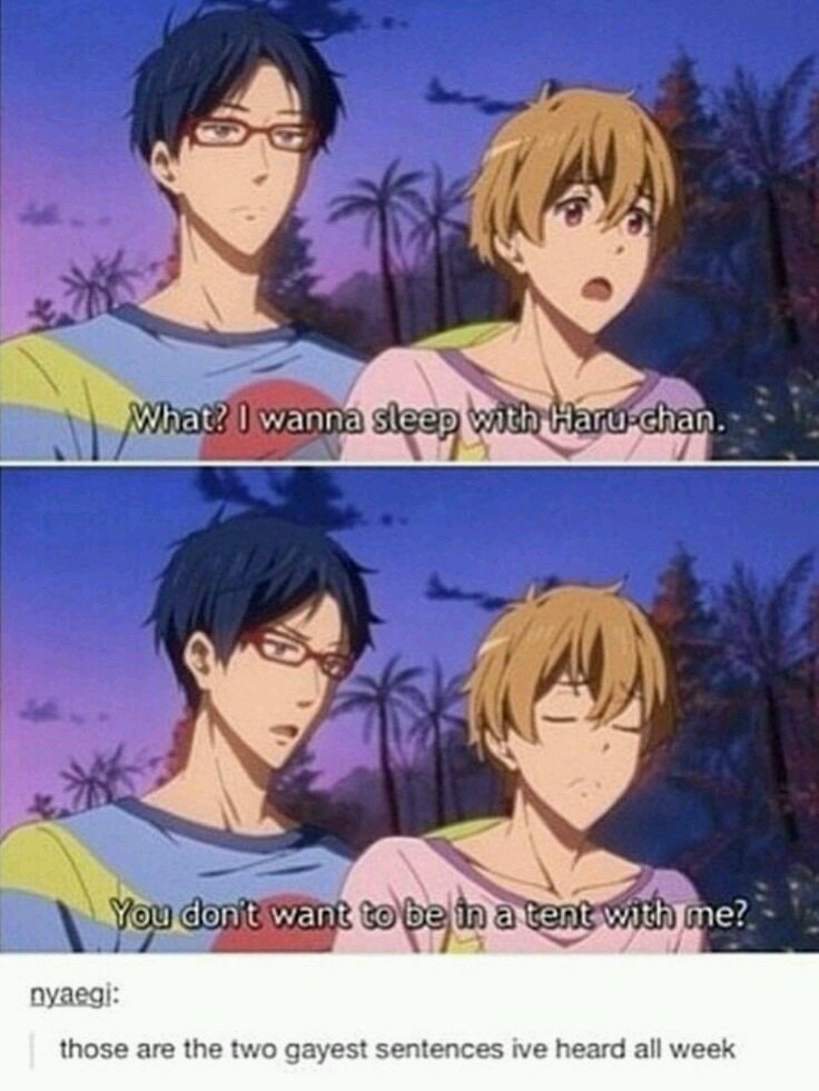 || I'm a male irl just so you know. And I still can't believe I watched the whole two seasons and the ova's of Free! without cringing ONCE