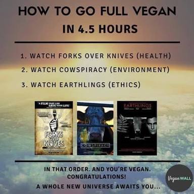 How to go full vegan in 4.5 hours.  #vegan