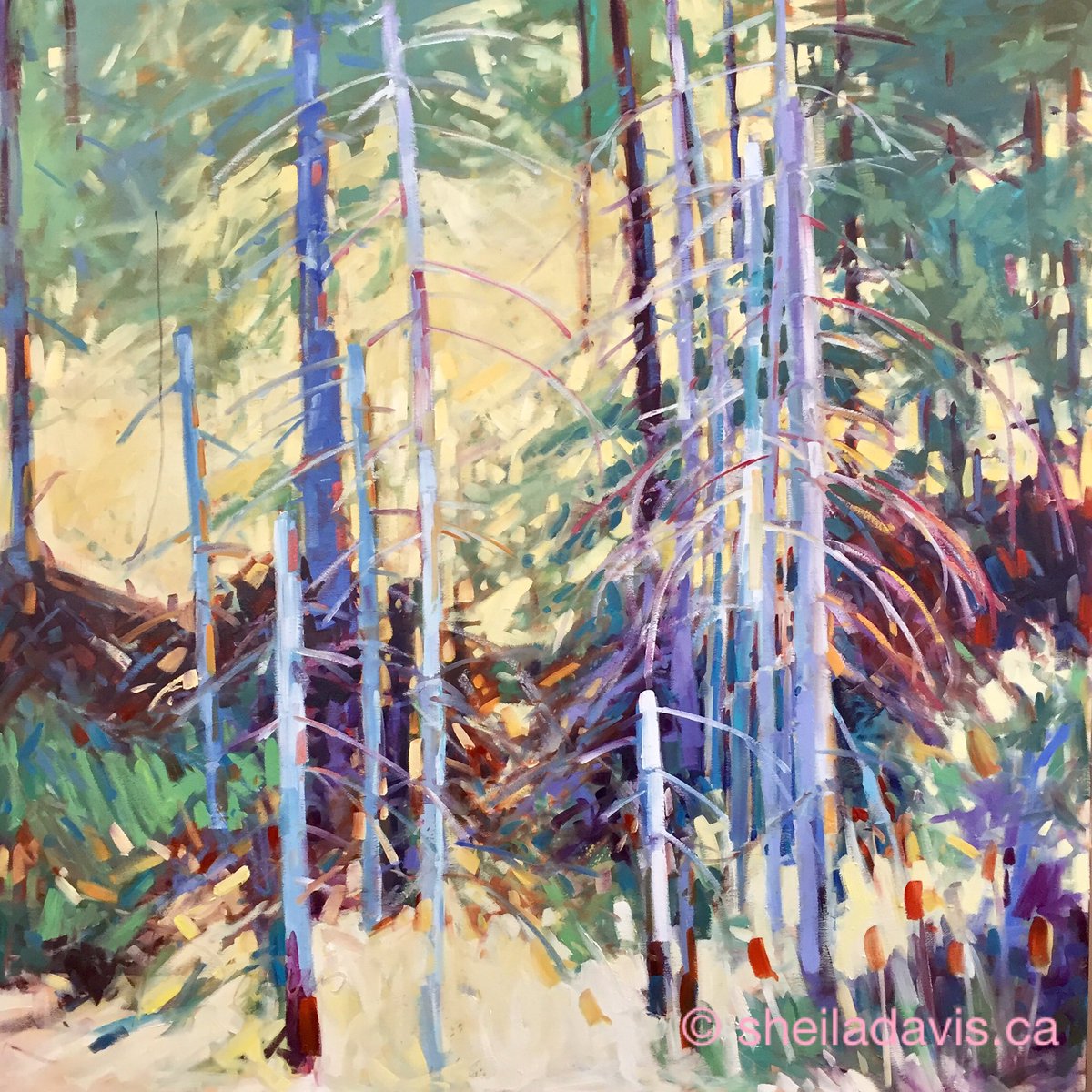 sdavisartist's tweet photo. 'With Open Arms' o/p 48x48  #sheiladavispaintings #canadianart #canadianartist #landscapesart #impressionism #fineart #ontheeasel https://t.co/O38wFYxVt9