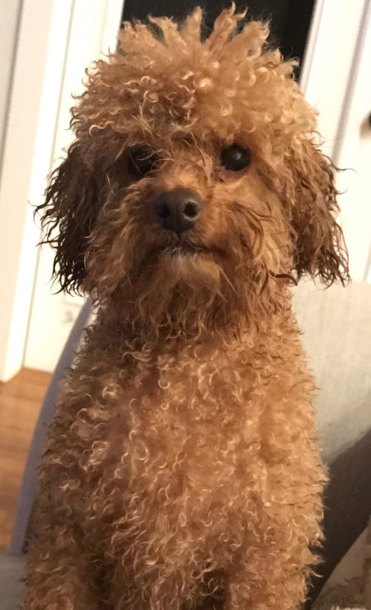DurkisYumbo's tweet photo. What are you looking at? https://t.co/ka9Fml4XSN