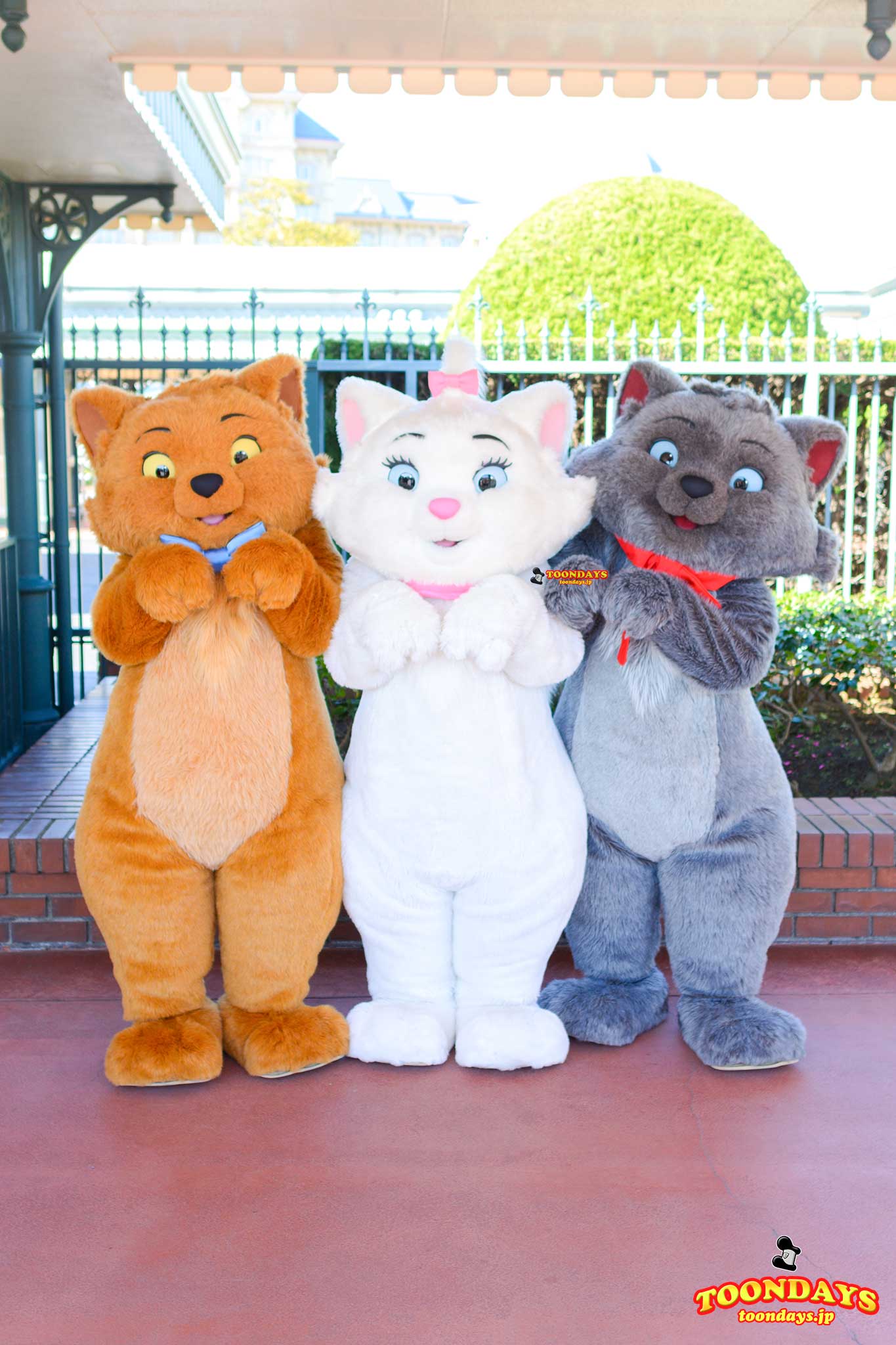 ƭ𝗢𝞞𝗡ᗪᗩƴ𐒡 ディズニーブログ 今日は 猫の日 ということでディズニーのネコキャラを集めてみました Fwf どのねこキャラが好きですか T Co 6ap6cuoezn にゃんにゃんにゃんの日 ねこの日 T Co Apzt8mmwih Twitter ƭ𝗢𝞞𝗡ᗪᗩƴ𐒡 ディズニーブログ 今日は 猫の日 ということでディズニーのネコキャラを集めてみました Fwf どのねこキャラが好きですか T Co 6ap6cuoezn にゃんにゃんにゃんの日 ねこの日 T Co Apzt8mmwih Twitter